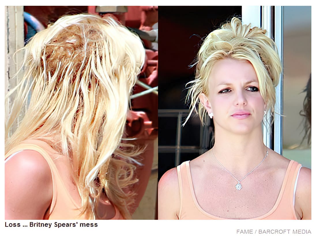 Loss... Britney Spears' mess